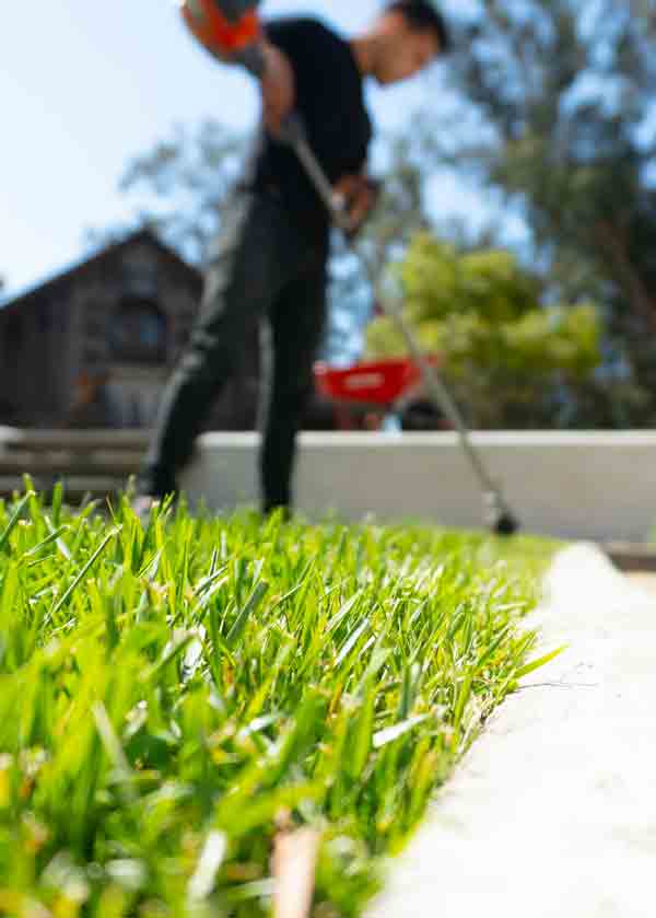 Hendersonville Lawn Care